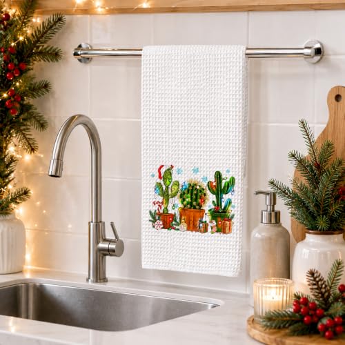 Winter Christmas Cactus Kitchen Towels 16x24 Inch - Sd-4