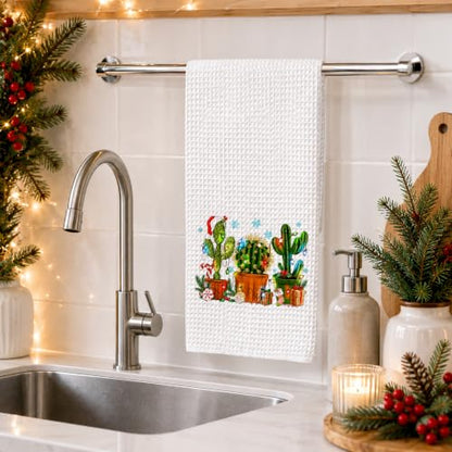 Winter Christmas Cactus Kitchen Towels 16x24 Inch - Sd-4