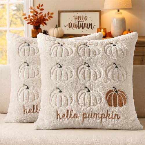 Fall Pumpkin Pillow Covers 18x18 Beige Set of 2 - Harvest Decor