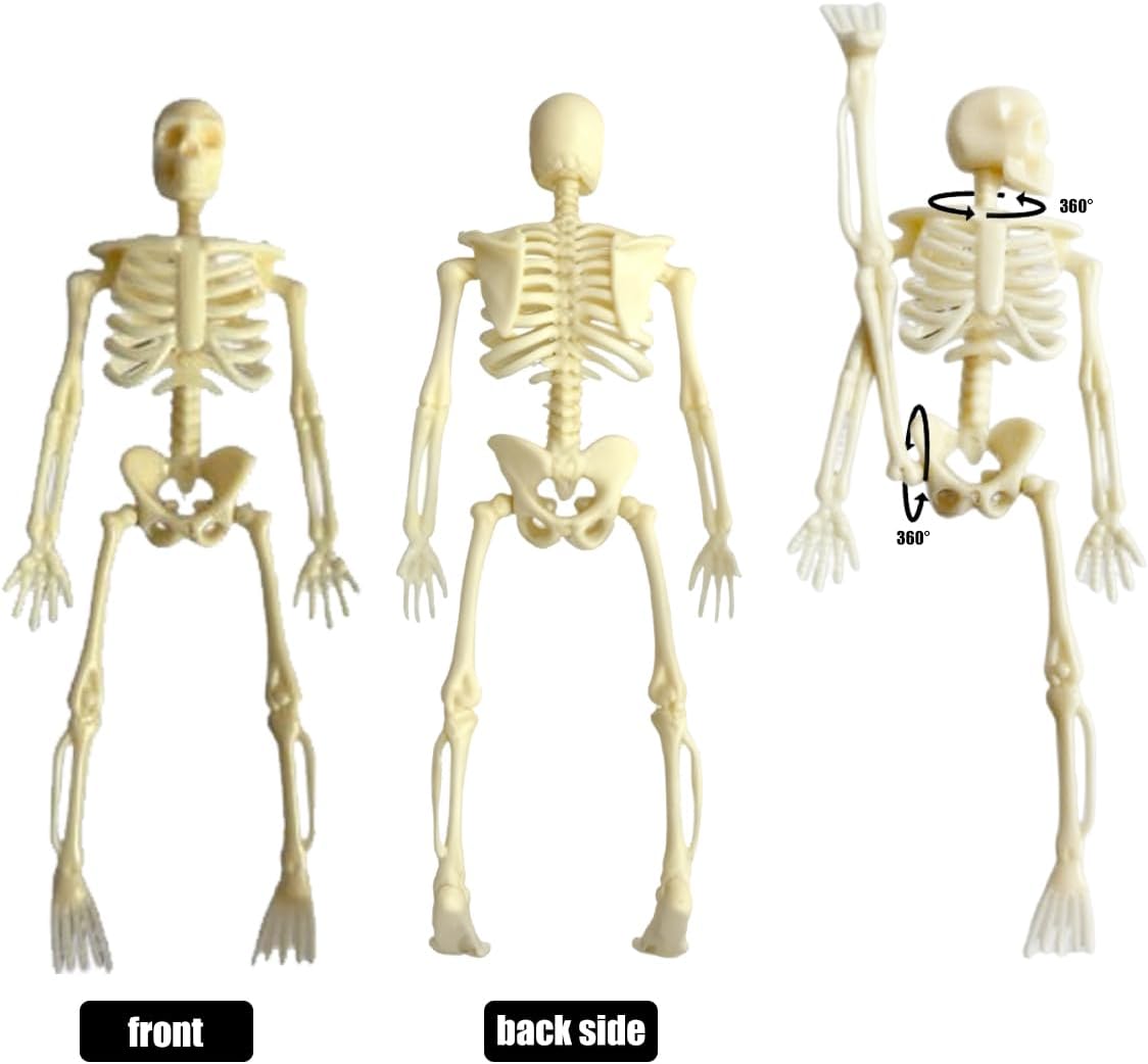Skiennix Mini Skeletons - 20 Pcs Posable Halloween Figurines | 6" Plastic Decorations for Parties