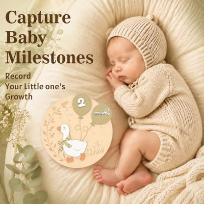 Baby Milestone Sign 3D White Goose Wooden Discs 1-12 Months with Interchangeable Numbers - Green Goose Variation