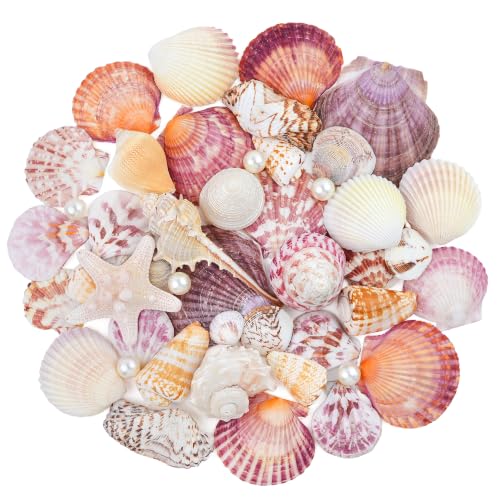 Natural Seashells Set with Starfish and Pearls for Crafts & Decor - 40 Pieces