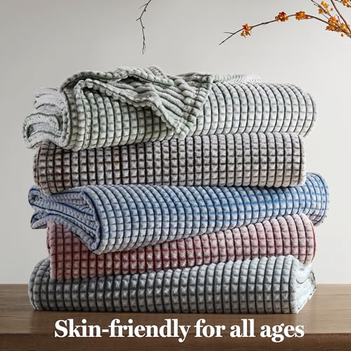 King Green Plush All-Season Microvelour Blanket - Cozy Safe & Soft