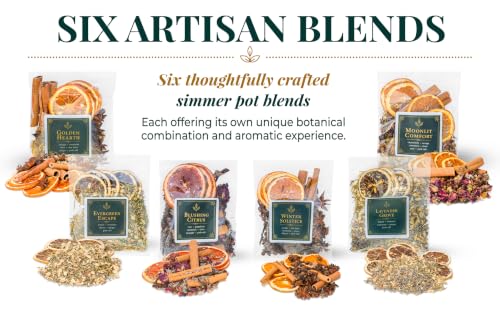 Potpourri Simmer Pot Set with Dried Botanicals - Fall & Holiday Fragrance Collection