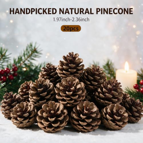 Natural Pine Cones Bulk Set - Rustic 2.3 Inch Decorations for Holiday & Fall