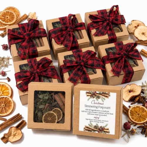 Christmas Simmer Pot Gift Set - 6 Fragrances, Rustic Farmhouse Decor
