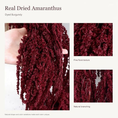10 Pcs Dried Burgundy Amaranthus Stems for Wedding Arch Decor - 23 Inch
