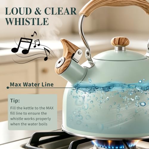 Stainless Steel 2.6 Qt Whistling Tea Kettle with Wood Pattern Handle - Turquoise