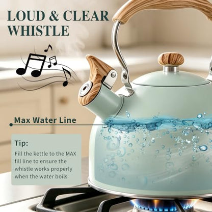 Stainless Steel 2.6 Qt Whistling Tea Kettle with Wood Pattern Handle - Turquoise
