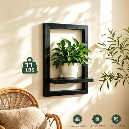 Rectangular Wooden Wall Shelf for Indoor Plants - Set of 2 Black Shelves