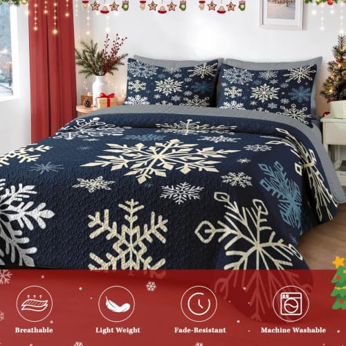 Queen Snowflake Quilt Set - Winter Christmas Bedding 3 Pieces