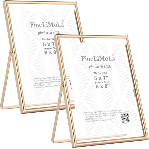 Gold 6x8 Inch Floating Photo Frame 2 Pack - Adjustable Tabletop & Wall Decor