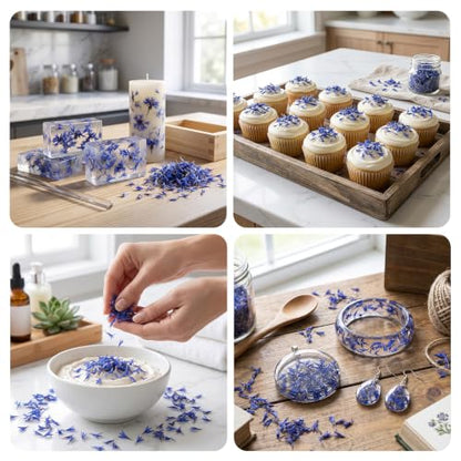 Natural Dried Cornflower Petals for DIY Crafts & Decorations - 5g Blue