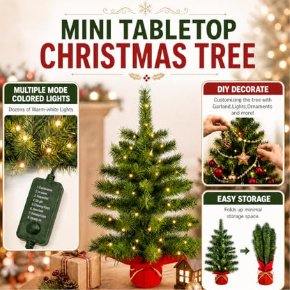 2ft Pre-Lit Artificial Mini Christmas Tree with Warm White LED Lights