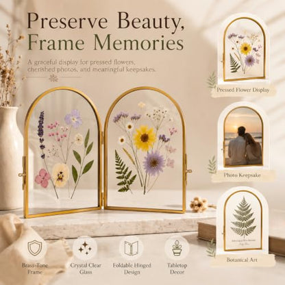 Double Glass Pressed Flower Frame - Gold 5x7 Inch Floating Picture Frame - Arched Design