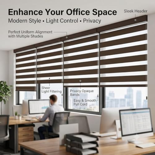 Dual Layer Zebra Blinds for Windows - Day and Night Roller Shades, Custom Fit