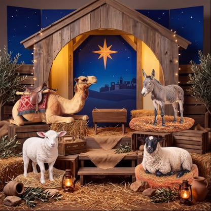 Christmas Nativity Cardboard Cutouts Set - Stable Scene Decor for Church & Holiday Events