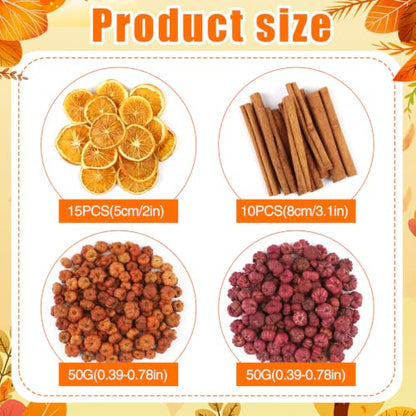 Mini Dried Pumpkin Pods Set with Orange Slices & Cinnamon Sticks Fall Decor