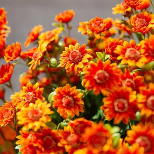 Artificial Fall Mums UV Resistant for Outdoors - Sunset Chrysanthemum (5 Bundles, Gold)