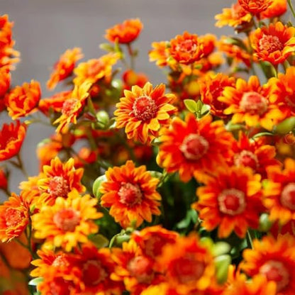 Artificial Fall Mums UV Resistant for Outdoors - Sunset Chrysanthemum (5 Bundles, Gold)