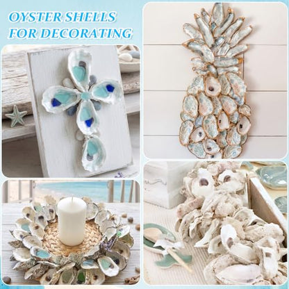 Large Concave Oyster Shells 4-5 Inches for Crafts - 30 Pieces
