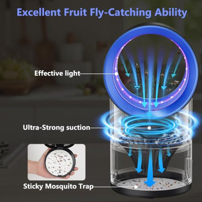 Blue Fruit Fly Trap Indoor with Suction & Timer - Pest Control Device