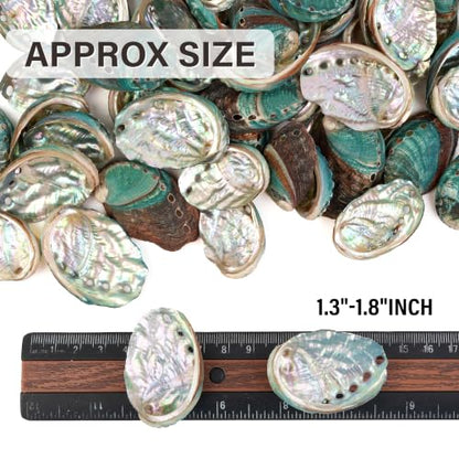 Natural Abalone Shells Set - 60 Small Iridescent Sea Shells for Crafts & Decor