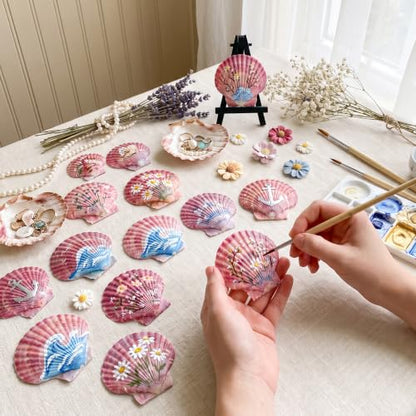Natural Seashells for Crafts - Red Scallop Shells 1.5-2.4 Inches, 50 Pack