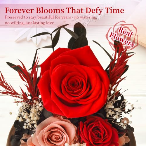 Red Preserved Roses Gift in Acrylic Dome for Her Birthday - Forever Flowers