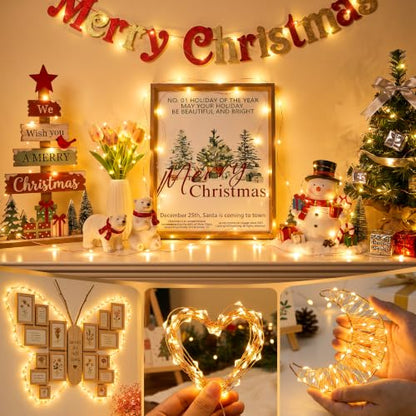Warm White Battery Operated Fairy Lights 2 Pack 16ft LED String Lights