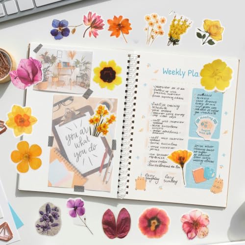 200 Pcs Waterproof Dried Flower Stickers for Scrapbooking & Resin Art