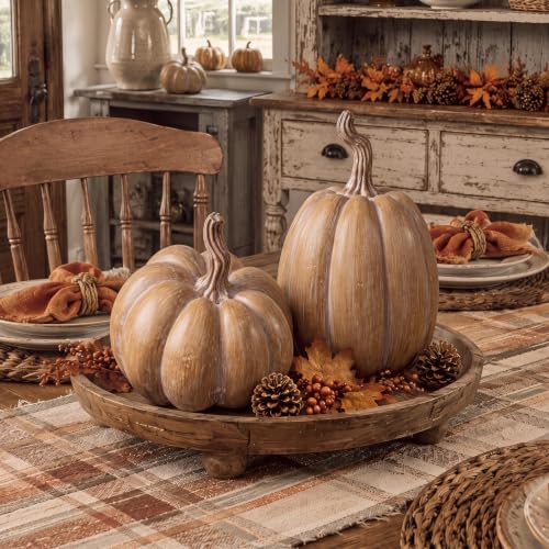 Fall Terracotta Faux Pumpkin Decor Set for Home Table Arrangements