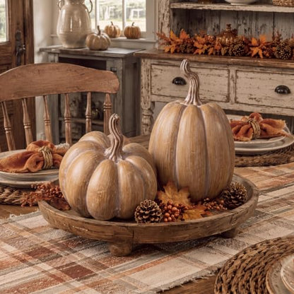 Fall Terracotta Faux Pumpkin Decor Set for Home Table Arrangements