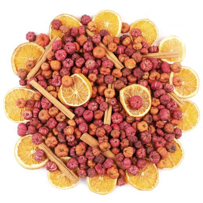Mini Dried Pumpkin Pods Set with Orange Slices & Cinnamon Sticks Fall Decor