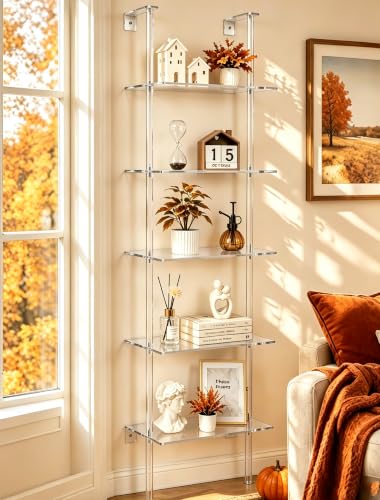 5 Tier Clear Acrylic Wall Ladder Shelf for Storage & Organizer