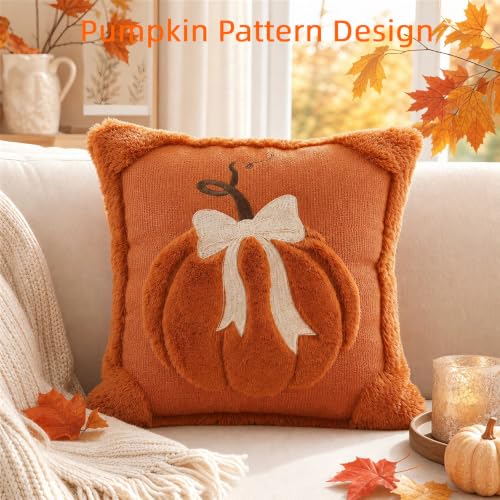 18x18 Inch Fall Pumpkin Pillow Covers Set of 2 - Autumn Thanksgiving Decor