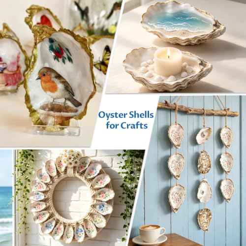 30PCS 4-5 Inch Concave Oyster Shells for Crafts, Natural and Large