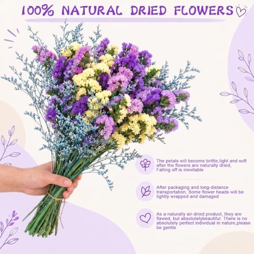 Rustic Dried Flower Bouquet with Statice & Forget-Me-Nots - 60 Stems