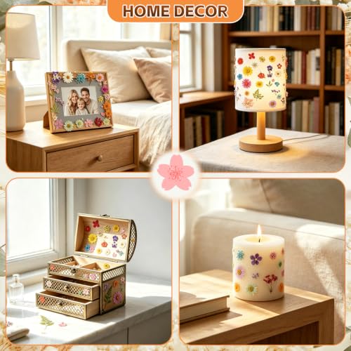 Dried Pressed Flowers Kit for Resin Crafts - Multicolored, 100+ Flowers & Leaves