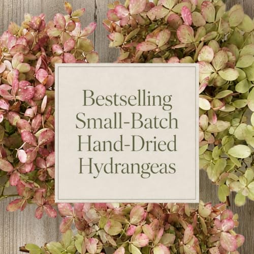 Dried Hydrangea Flowers Set - Large Natural Preserved Blooms for Wreaths & Decor