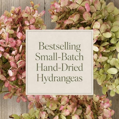 Dried Hydrangea Flowers Set - Large Natural Preserved Blooms for Wreaths & Decor