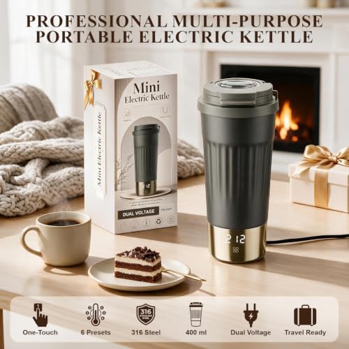 Titanium Gray Dual Voltage Travel Electric Kettle with 6 Temp LCD, 400ml