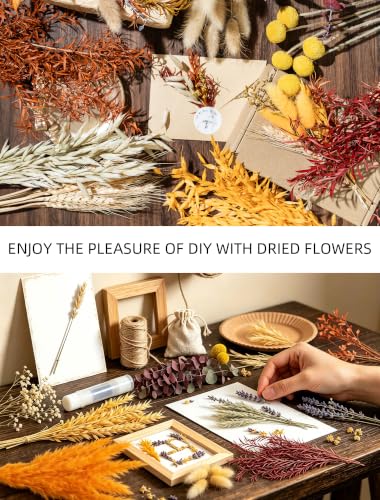 Fall Dried Flowers Set - 12 Natural Preserved Flowers for Decor - Variation: Fall