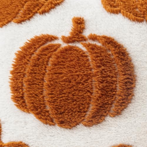 Fall Pumpkin Pillow Covers Set of 2 - 18x18 Rust Harvest Decor