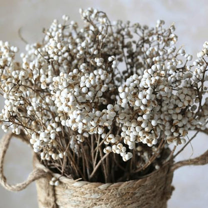 Dried Tallow Berries for Christmas Decor - 17-inch Natural Floral Stems