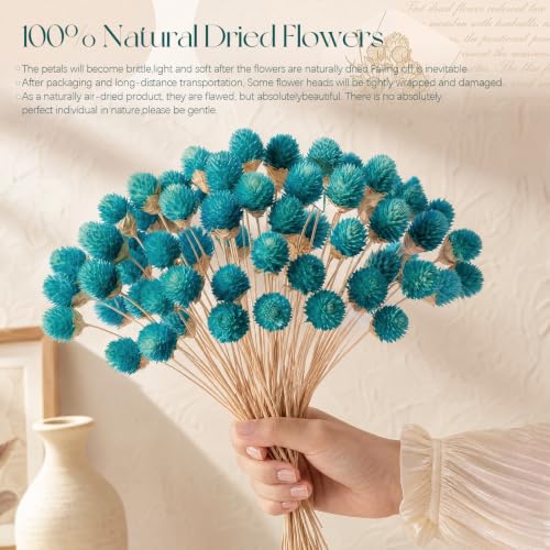 Blue Dried Globe Amaranth Flower Bouquet - 40 Stems for Wedding & Decor