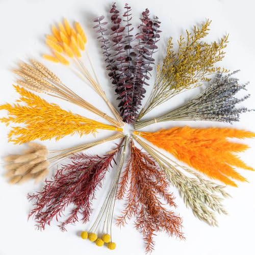 Fall Dried Flowers Set - 12 Natural Preserved Flowers for Decor - Variation: Fall
