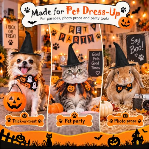 Mini Witch Hats 2-Pack - Black 6.3 Inch Pet & Decor Halloween Accessories