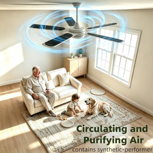 20-Pack Ceiling Fan Filter with Activated Carbon - Black Variation