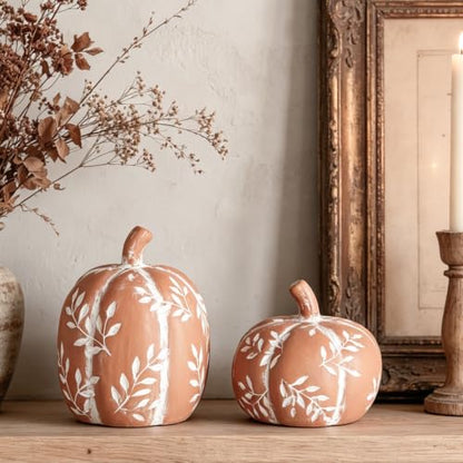 DN DECONATION Fall Pumpkin Decor Set - Orange Terracotta Rustic Thanksgiving Table Centerpieces